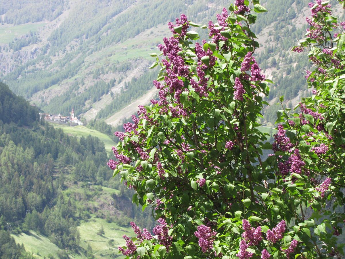Hotel Am Fels Senales/Schnals Exterior foto